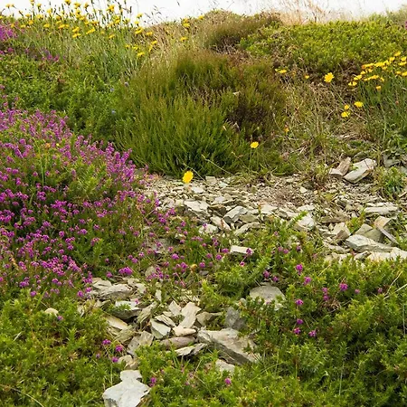 Ring Of Kerry - Einmaliger Blick Auf Skelligs 아파트 Clynacartan