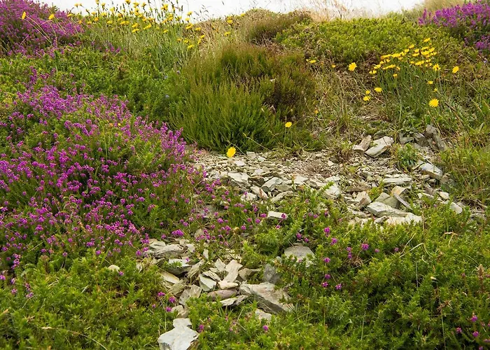 Ring Of Kerry - Einmaliger Blick Auf Skelligs 公寓 Clynacartan